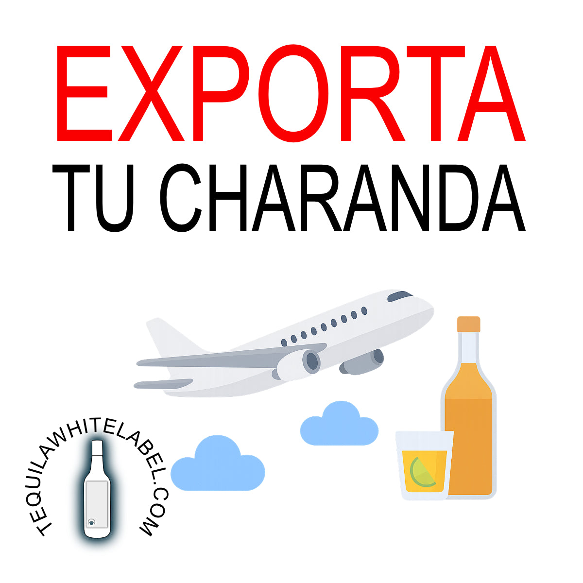 Webinar de Exportación: Evita los Errores Más Comunes al Exportar Alimentos y Bebidas (Tequila, Mezcal y Destilados)