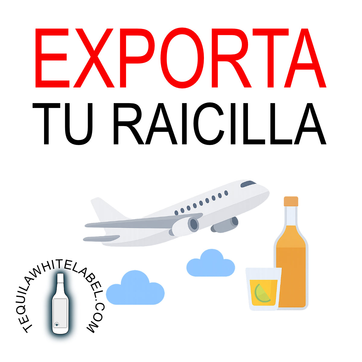Webinar de Exportación: Evita los Errores Más Comunes al Exportar Alimentos y Bebidas (Tequila, Mezcal y Destilados)