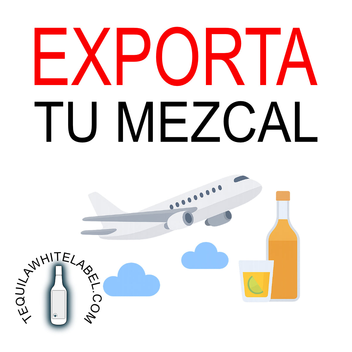 Webinar de Exportación: Evita los Errores Más Comunes al Exportar Alimentos y Bebidas (Tequila, Mezcal y Destilados)