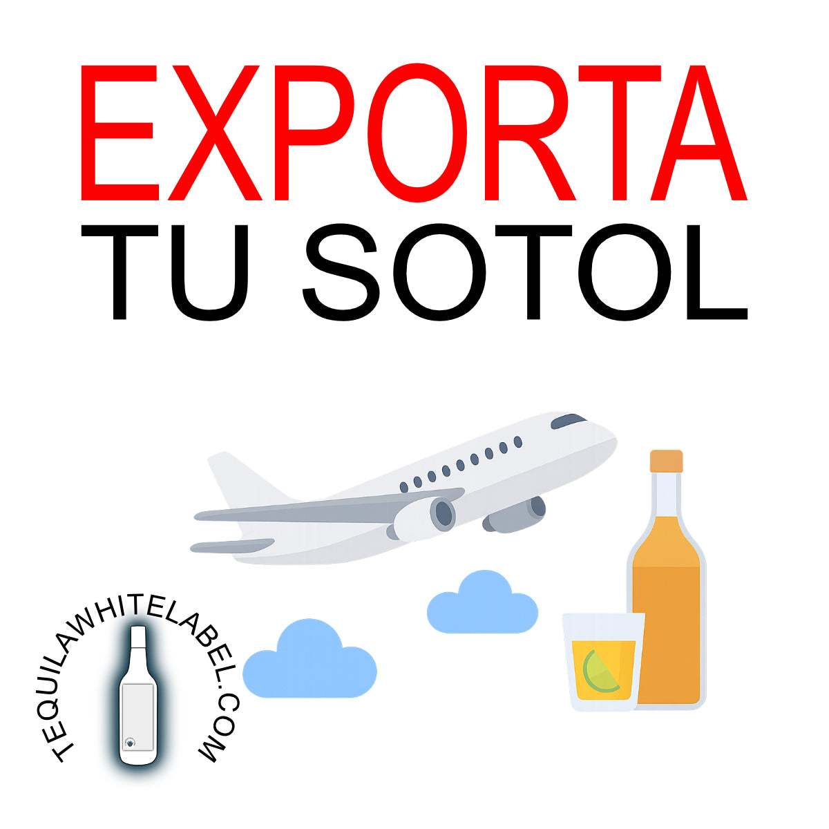 Webinar de Exportación: Evita los Errores Más Comunes al Exportar Alimentos y Bebidas (Tequila, Mezcal y Destilados)