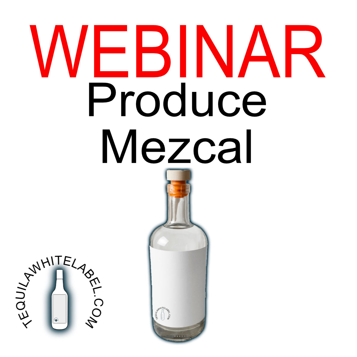 Webinar: Discover the Best Way to Start in the Tequila and Mezcal Business