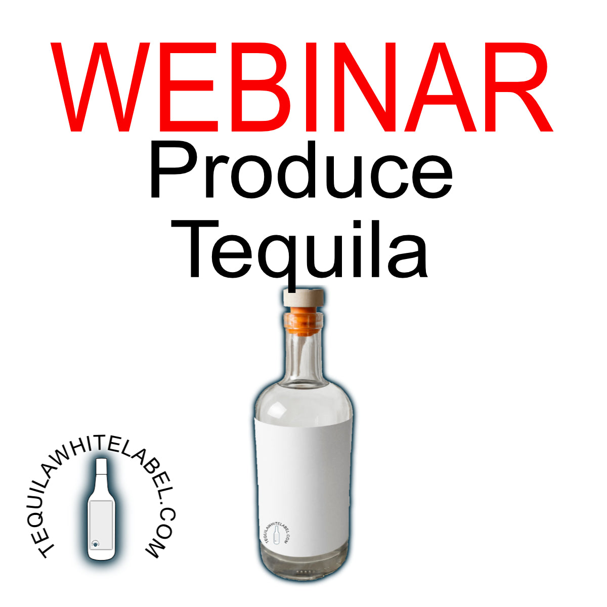 Webinar: Discover the Best Way to Start in the Tequila and Mezcal Business